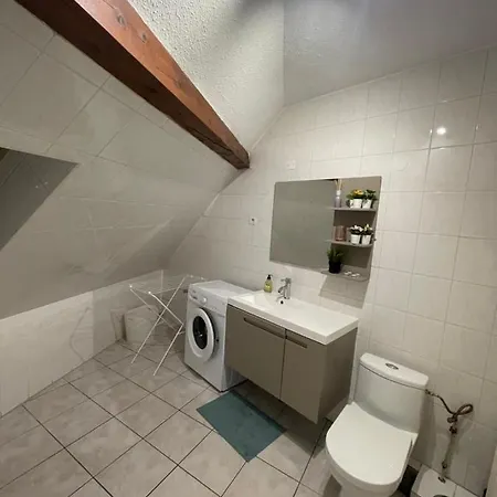 Colmar Charmant Logement * 科尔马