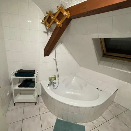 Colmar Charmant Logement Daire