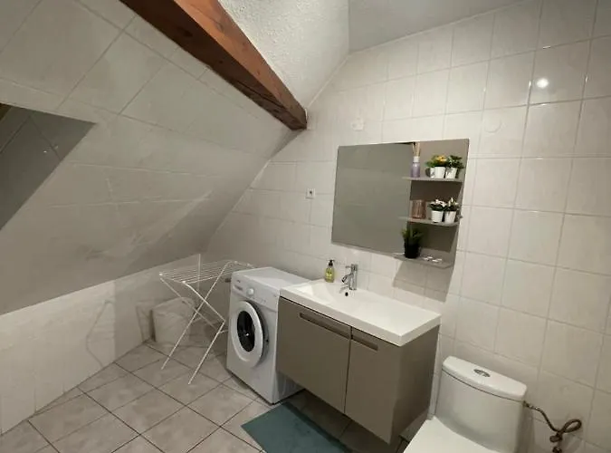 Colmar Charmant Logement * Colmar