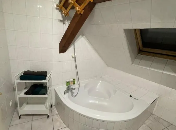 Colmar Charmant Logement Appartamento