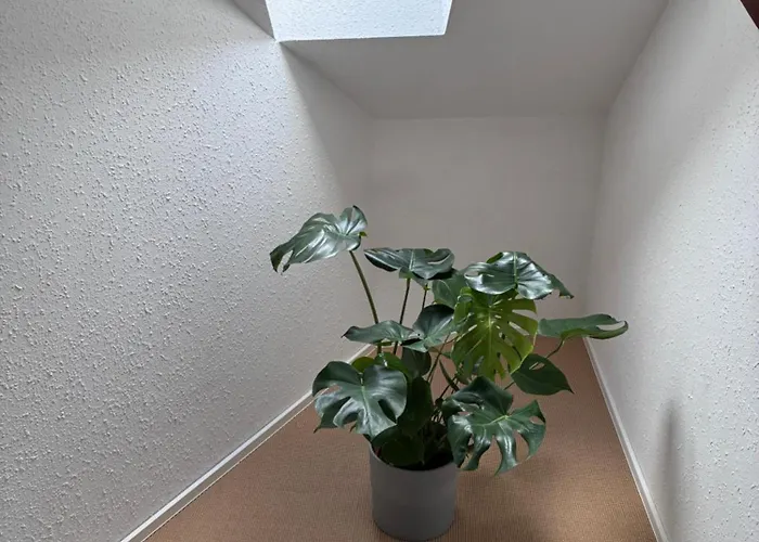 Appartamento Colmar Charmant Logement